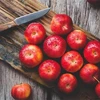 Mỗi quả táo chứa tới hơn 100 triệu vi khuẩn có lợi