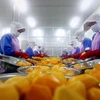 Dây chuyền chế biến trái cây xuất khẩu của Công ty Cổ phần Nafoods miền Nam. (Ảnh: Danh Lam/TTXVN)