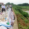 Các lực lượng gia cố tạm điểm sạt trên đê hữu sông Chu qua xã Thọ Hải, huyện Thọ Xuân. (Ảnh: Nguyễn Nam/TTXVN)