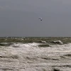 Bão Dorian có thể gây sóng cao tới 2,1 mét tại một số khu vực ở bờ biển Carolina. (Nguồn: AFP/TTXVN)