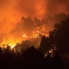 Ngày 17/8/2019 cũng đã xảy ra cháy rừng ở đảo Gran Canaria, Tây Ban Nha. (Ảnh: AFP/TTXVN)