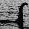 [Video] Sự thật gây bất ngờ về quái vật hồ Loch Ness
