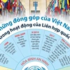 [Infographics] Những đóng góp của Việt Nam trong hoạt động của LHQ