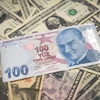 Đồng lira (giữa) của Thổ Nhĩ Kỳ và đồng đô la Mỹ. (Ảnh: AFP/ TTXVN)