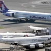 Liên doanh Hawaiian Airlines và Japan Airlines không được miễn trừ chống độc quyền. (Nguồn: staradvertiser.com)