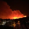 Cháy rừng bùng phát ở Liban. (Nguồn: arabnews.com)