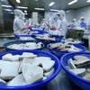 Dây chuyền chế biến cá ngừ đại dương đông lạnh xuất khẩu tại nhà máy của Công ty Cổ phần Thủy sản Bình Định. (Ảnh: Vũ Sinh/TTXVN)