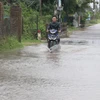Do ảnh hưởng của bão, mưa lớn nhiều tuyến đường giao thông tại huyện Tuy An, Phú Yên đã bị ngập. (Ảnh: Phạm Cường/TTXVN)