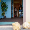 Khử trùng một lớp học ở Grand Junction, Colo. (Nguồn: nytimes.com)