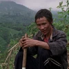 Cảnh trong phim "Nhà cây" của Trương Minh Quý. (Ảnh: SGIFF)