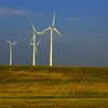 Trang trại gió ở Velva, Mỹ. (Ảnh: AFP/TTXVN)