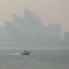 Khói mù ô nhiễm bao phủ dày đặc tại Sydney, Australia, ngày 21/11/2019. (Ảnh: THX/TTXVN)