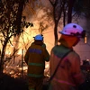 Cháy rừng lan rộng ở Mangrove, cách thành phố Sydney,Australia,khoảng hơn 110km về phía bắc ngày 7/12/2019. (Ảnh: AFP/TTXVN)