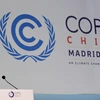 Nhà hoạt động trẻ người Thụy Điển Greta Thunberg phát biểu tại hội nghị COP 25 ở Madrid, Tây Ban Nha, ngày 11/12/2019. (Ảnh: AFP/TTXVN)