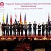 Các trưởng đoàn tham dự Hội nghị Cấp bộ trưởng về Hiệp định Đối tác kinh tế toàn diện khu vực (RCEP) diễn ra tại Thái Lan. (Ảnh: Lý Hữu Kiên/TTXVN)