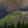 Cháy rừng tại New Zealand. (Nguồn: nzherald.co.nz)