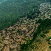 Một khoảng rừng mưa Amazon ở bang Amazonas, Brazil bị cháy rụi ngày 24/8/2019. (Ảnh: AFP/TTXVN)