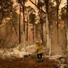 Lực lượng cứu hỏa nỗ lực khống chế các đám cháy rừng tại New South Wales, Australia. (Ảnh: AFP/TTXVN)