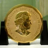 Đồng tiền vàng "Big Maple Leaf" được trưng bày tại Bảo tàng Bode ở Berlin, Đức ngày 8/12/2010. (Nguồn: AFP/TTXVN)