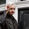 Nhà sáng lập trang mạng WikiLeaks Julian Assange tại Đại sứ quán Ecuador ở London, Anh, ngày 19/5/2017. (Ảnh: AFP/ TTXVN)