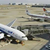 Máy bay của hãng hàng không All Nippon Airways Nhật Bản. (Nguồn: Kyodo)