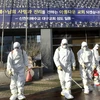 Nhân viên y tế phun thuốc khử trùng phía trước nhà thờ của giáo phái Tân Thiên Địa ở thành phố Daegu, Hàn Quốc ngày 19/2/2020. (Ảnh: AFP/TTXVN)