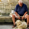 Những con vật nuôi giúp giảm tỷ lệ tự tử ở người cao tuổi. (Nguồn: theleadsouthaustralia.com.au)