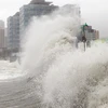 Gió mạnh gây sóng lớn ở bờ biển Hàn Quốc. (Nguồn: Reuters)