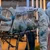 Nhân viên y tế chuyển bệnh nhân nhiễm COVID-19 tới bệnh viện ở Rome, Italy, ngày 16/3/2020. (Ảnh: AFP/TTXVN)