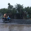 Trân mưa lớn giải hạn tại Sóc Trăng. (Ảnh: Chanh Đa/TTXVN)