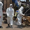 Nhân viên y tế mặc trang phục bảo hộ khử trùng các cửa hàng và đường phố ở Conakry, Guinea. (Nguồn: AFP/Getty Images)