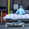 Nhân viên y tế chuyển thi thể bệnh nhân mắc COVID-19 tại một bệnh viện ở New York, Mỹ. (Ảnh: THX/TTXVN)