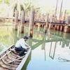 Cán bộ kỹ thuật của Sở Nông nghiệp và Phát triển nông thôn kiểm tra đo độ mặn tại đập ngăn mặn tạm thời trên sông Hàm Luông, xã Đông Sơn, thành phố Bến Tre. (Ảnh: Vũ Sinh/TTXVN)