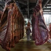 Một cơ sở chế biến thịt tại Pháp. (Nguồn: france24.com)