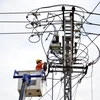 Công nhân Công ty Điện lực nâng cấp hệ thống lưới điện. (Ảnh: Ngọc Hà/TTXVN)
