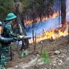 Các lực lượng chức năng nỗ lực dập lửa tại xã Diễn Lợi, huyện Diễn Châu ngày 28/6.( Ảnh: Tá Chuyên/TTXVN)