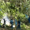 Diễn tập phòng chống cháy rừng tại huyện miền núi Cẩm Thủy, Thanh Hóa. (Ảnh: Nguyễn Nam/TTXVN)