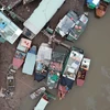 [Video] Nỗi lòng người dân xóm chài nghèo Tam Bạc trước ngày di dời