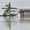 Cảnh ngập lụt sau những trận mưa lớn tại Hatishila, bang Assam, Ấn Độ, ngày 14/7/2020. (Ảnh: AFP/TTXVN)