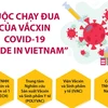 [Infographics] Việt Nam dự kiến có vắcxin COVID-19 vào tháng 10/2021