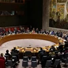 Một phiên họp của Hội đồng Bảo an Liên hợp quốc. (Nguồn: Reuters)