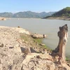 Lòng hồ chứa nước Suối Dầu (Cam Lâm-Khánh Hòa) chỉ còn 18% dung tích hồ. (Ảnh: TTXVN)