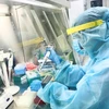 Nhân viên y tế của Trung tâm Chẩn đoán y khoa kỹ thuật cao Thiện Nhân Đà Nẵng thực hiện xét nghiệm sàng lọc virus SARS-CoV-2 . (Ảnh: TTXVN)