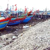 Vỏ sò, vỏ ốc dùi bị các chủ tàu thuyền đổ tràn lan hai bên cảng cá Lạch Vạn gây ô nhiễm môi trường nghiêm trọng. (Ảnh: Tá Chuyên/TTXVN)