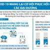 [Infographics] COVID-19 mang lại cơ hội phục hồi cho các đại dương