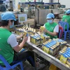 Kiểm tra và đóng gói sữa vào thùng tại nhà máy Nutifood Bình Dương (KCN Mỹ Phước I, Bến Cát). (Ảnh: Minh Hưng/TTXVN)