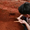 Nhà khảo cổ đang khai quật một ngôi mộ cổ tại Trung Quốc. Ảnh minh họa. (Nguồn: Tân hoa xã)