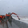 Đoàn kiểm tra công tác tác khắc phục sự cố đê biển tại Nam Định. (Ảnh: Văn Đạt/TTXVN)