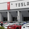 Các mẫu xe ôtô điện của Tesla. (Ảnh: AFP/TTXVN)