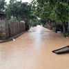 Nhiều tuyến đường giao thông nông thôn ở Quảng Trị vẫn bị ngập sâu trong nước. (Ảnh: Hồ Cầu/TTXVN)
